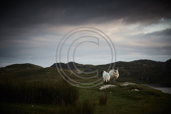 Western Isles, Scotland