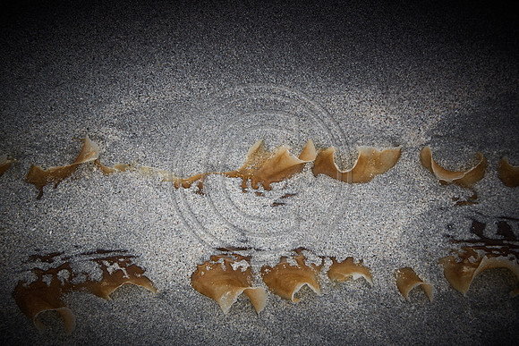 Western Isles, Scotland