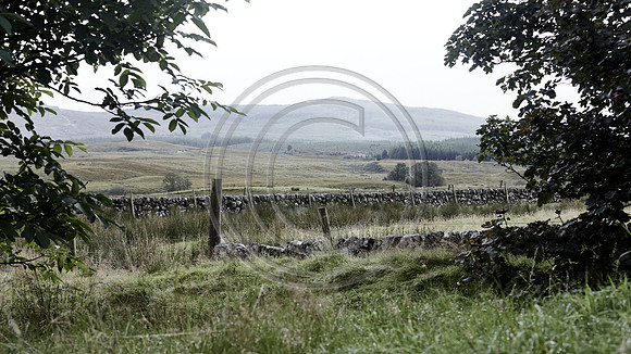 Scene of a field, Scotland.